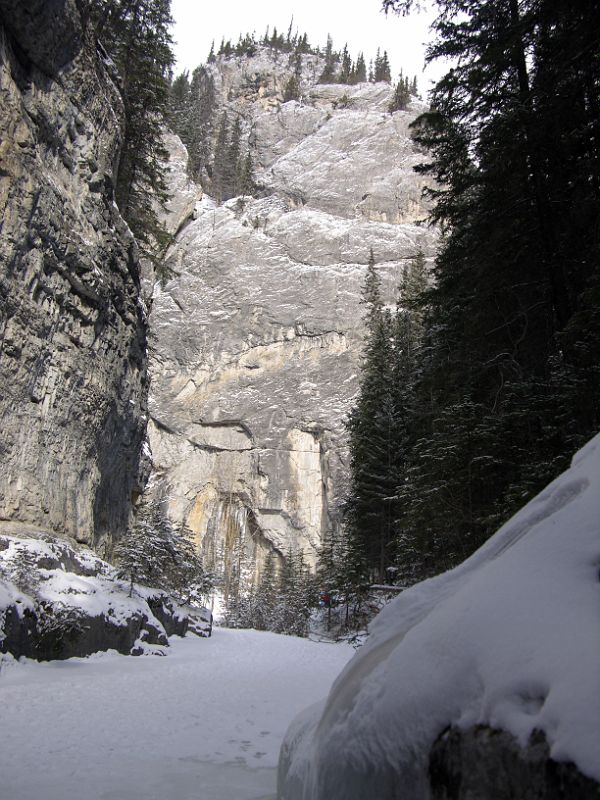 01 Banff Grotto Canyon Steep Cliffs In Winter